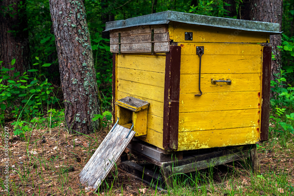Yellow beehive in the forest on summer. Yellow beehive in the forest on summer.