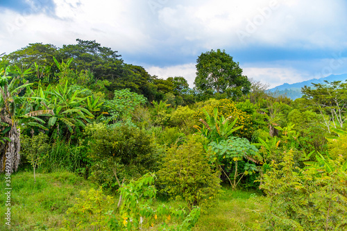 Jungle of the state Chiapas, Mexico © Anton Ivanov Photo