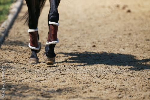 Horse legs with sheepskin boots, photographed in step on the hoofbeat of the riding arena, the left leg in the focus area..