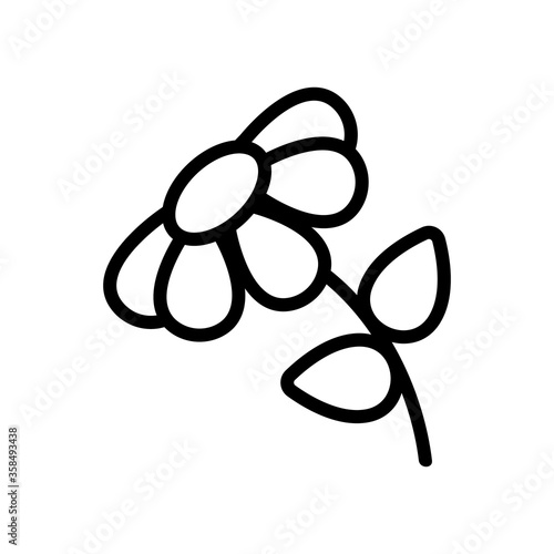 chamomile blossom flower icon vector. chamomile blossom flower sign. isolated contour symbol illustration