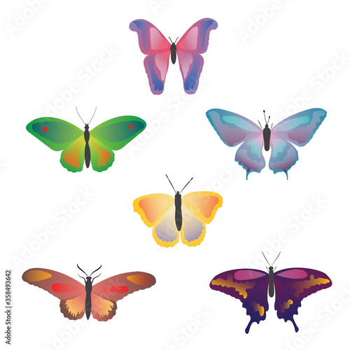 Color drawing butterfly. Beautiful butterflies on a white background for design. Collection set of colorful butterflies. Hand drawn isolated vector illustration. © marinadesigner