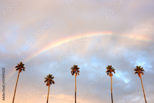 rainbow over the sky