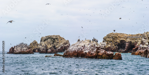 It's Gulls fly over the rocks in the sea