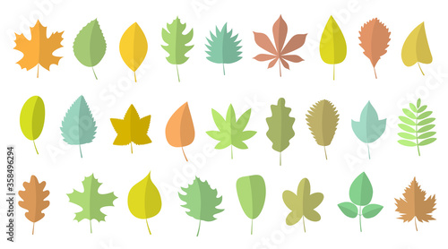 Vector set. Autumn leaves of different shapes and colors.