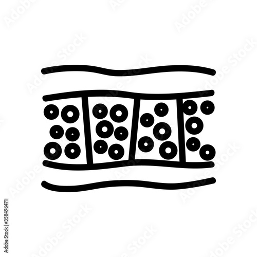 cellulite anatomical section icon vector. cellulite anatomical section sign. isolated contour symbol illustration