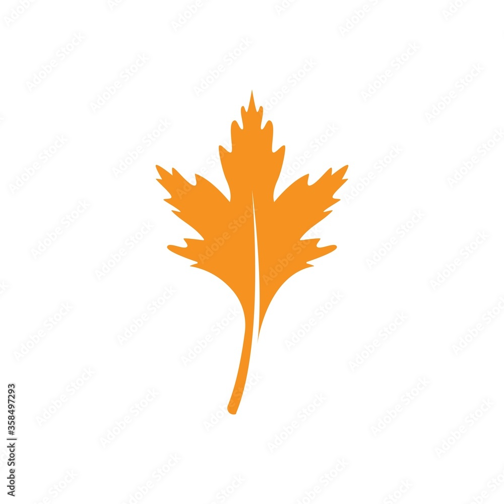 Fototapeta premium Oak Leaf Logo