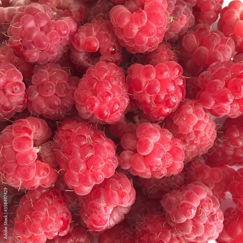 Fototapeta Naklejka Na Ścianę i Meble -  close-up of freshly picked raspberry