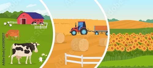 Farming agriculture vector illustration. Cartoon flat agricultural set with herd of animal sheep cows in cattle farm, wheat harvesting farmer tractor, rural farmfield with growing sunflowers harvest photo