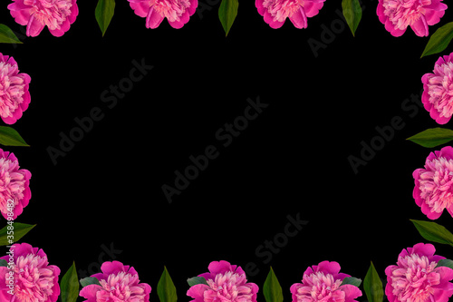 Pink peony flowers frame with copy space on black background. Beautiful blooming flower heads for website floral design. Paeonia lactiflora plant green leaves. Colorful peonies petals.