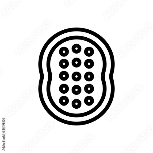 anti cellulite massager tool icon vector. anti cellulite massager tool sign. isolated contour symbol illustration