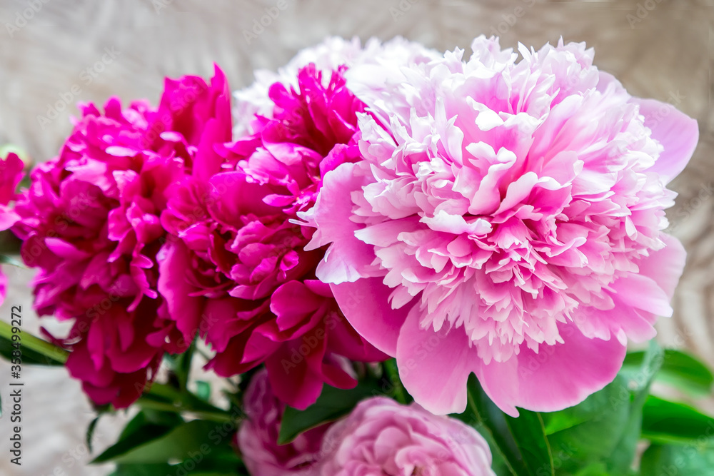 Bouquet of pink peonies on a blurry background
Bouquet of pink peonies on a blurry background