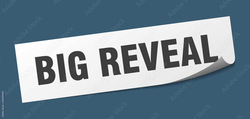 big reveal sticker. big reveal square isolated sign. big reveal label