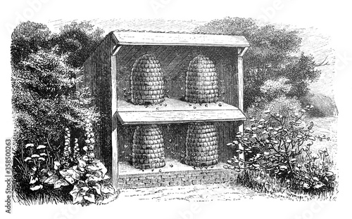 Bee hives for beekeeping / Illustration from Brockhaus Konversations-Lexikon 1908
 photo