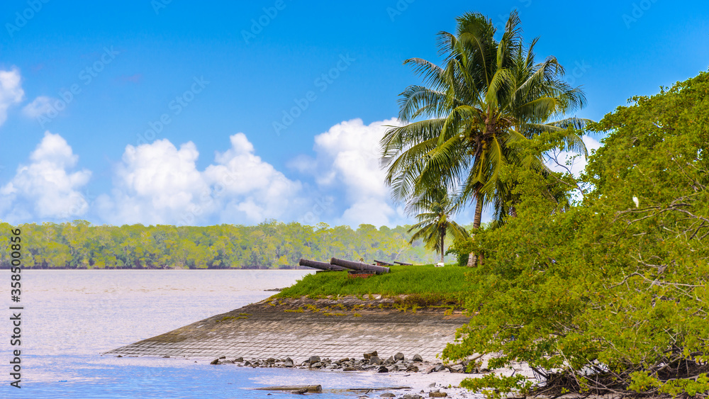 It's Cannons on the coast of the Suriname river in Suriname, Sou