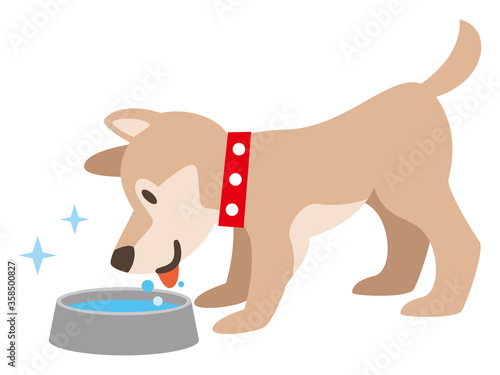 水を飲む犬のイラストレーション