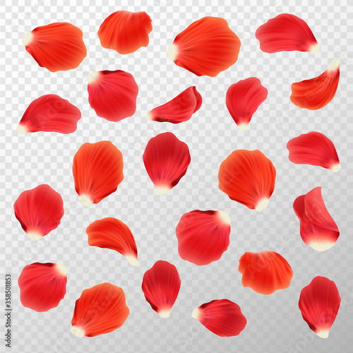 Red rose petals set, isolated on white
