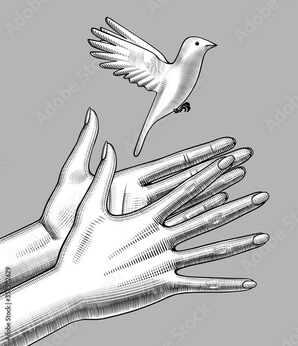 Engraved drawing of a female hands release a white bird