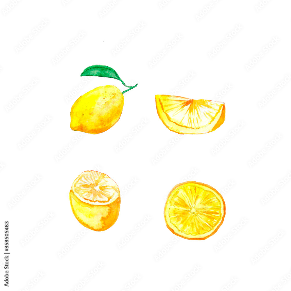 Watercolor set of lemon half, sliced, ripe isolated on white. Element design for health care, card, textile, fabric, menu, organic, kitchen, nature, package, poster, banner, 
