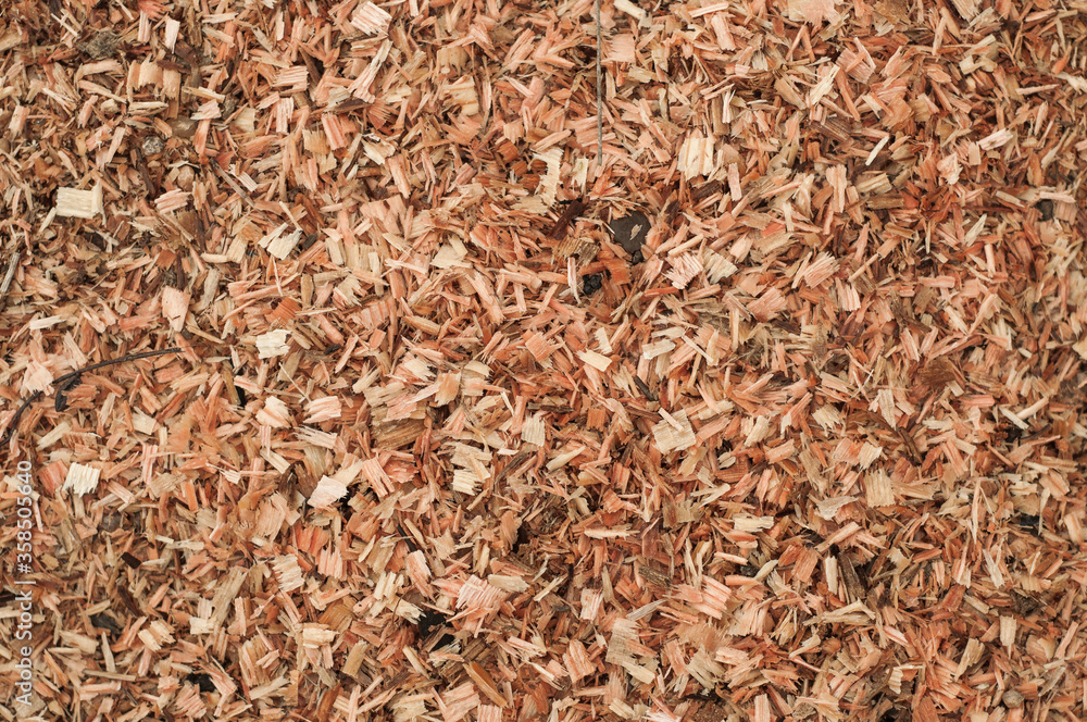 Sawdust or wood dust texture background. Wood sawdust background closeup. Sawdust floor texture. Top view. Saw dust texture, close-up background of brown sawdust. Sawdust or wood dust texture background. Wood sawdust background closeup. Sawdust floor texture. Top view. Saw dust texture, close-up background of brown sawdust.