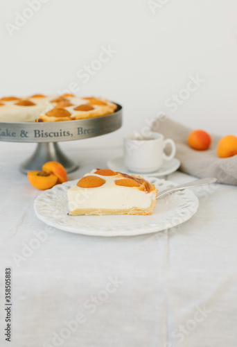 Summer apricot pie homemade delicious fruit dessert. Apricot tart. Fruit pie. French pastries.