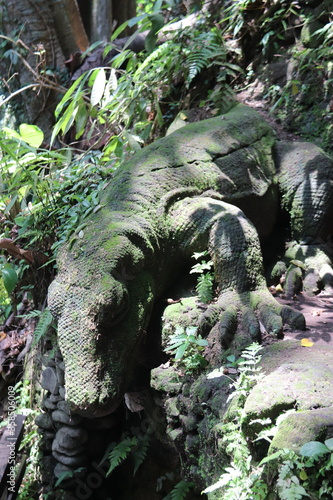 Varan, forêt des singes d'Ubud à Bali, Indonésie 