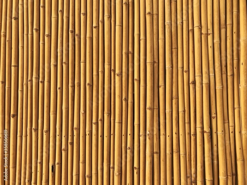 Yellow bamboo fence background.