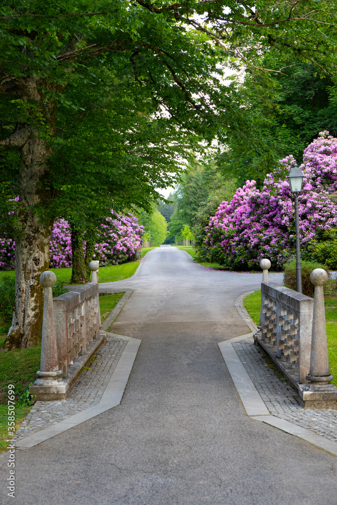 Obraz premium Brdo protocolar botanic garden in Slovenia
