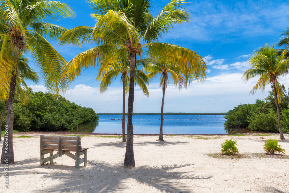 Palm trees on a tropical beach with bench in shadow in Florida Keys.