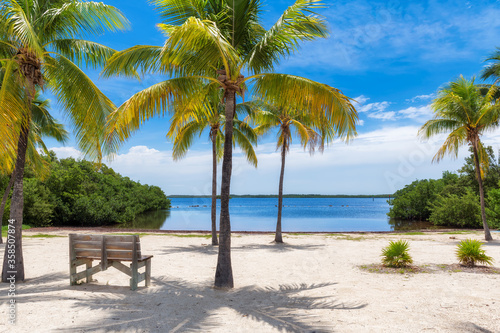 Palm trees on a tropical beach with bench in shadow in Florida Keys.