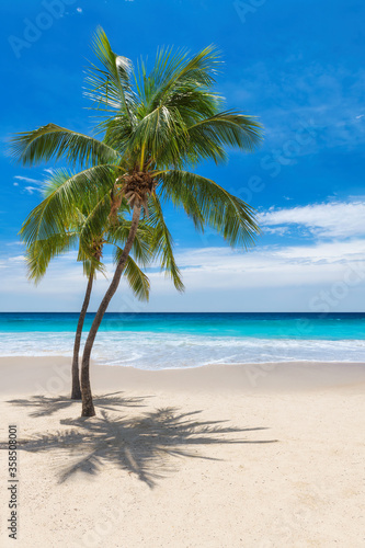 Fototapeta pionowa  sloneczna-tropikalna-plaza-z-palmami-kokosowymi-i-turkusowym-morzem-na-karaibskiej-wyspie