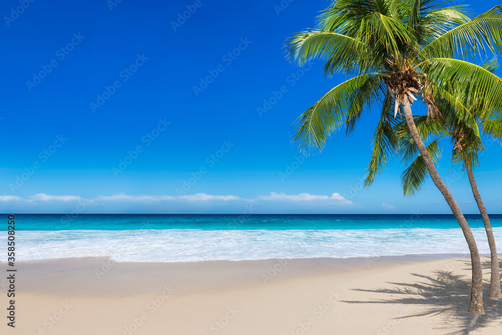 Paradise sunny beach with coco palms and turquoise sea. Summer vacation and tropical beach concept.	