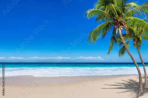 Paradise sunny beach with coco palms and turquoise sea. Summer vacation and tropical beach concept. 