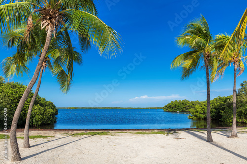 Fototapeta Naklejka Na Ścianę i Meble -  Beautiful tropical beach with palm trees and turquoise sea in Caribbean island.	