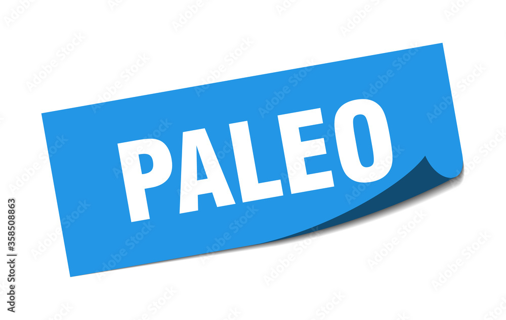 paleo sticker. paleo square isolated sign. paleo label paleo sticker. paleo square isolated sign. paleo label