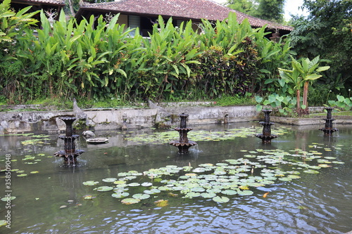 Fototapeta Naklejka Na Ścianę i Meble -  Bassin du palais de Tirta Gangga, Bali, Indonésie	