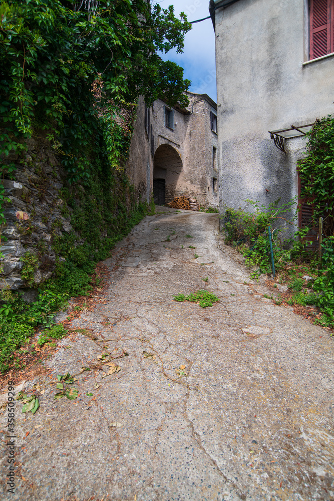 A lowangle view on a narrow alley with nobody in Costarician village in the mountains leading to wooden stack during summertime on a sunny day with a blue sky and a lot of green plants on the sidewalk