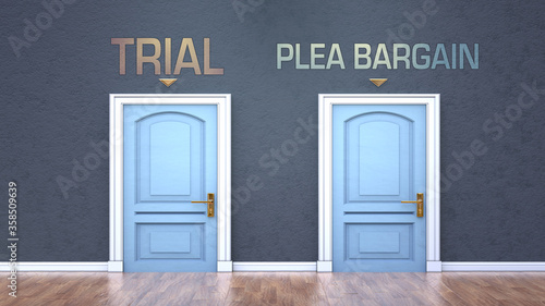 Trial and plea bargain as a choice - pictured as words Trial, plea bargain on doors to show that Trial and plea bargain are opposite options while making decision, 3d illustration