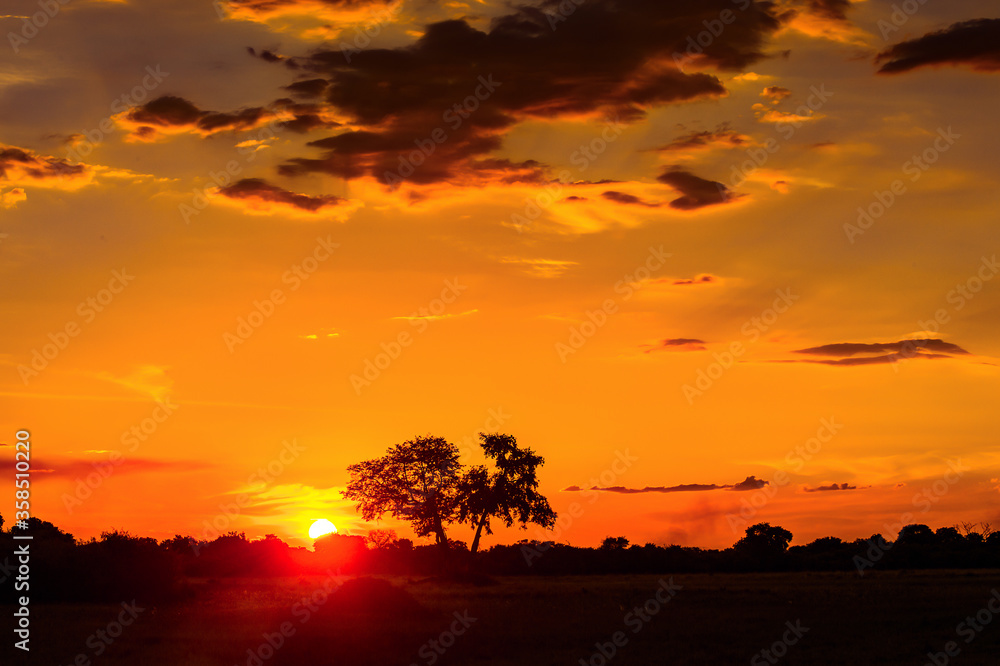 It's Beautiful sunset over the Okavango Delta (Okavango Grassland), One of the Seven Natural Wonders of Africa, Botswana