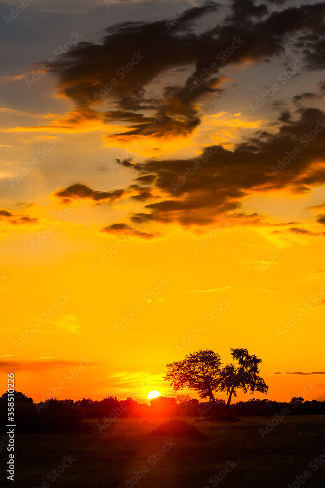 It's Beautiful sunset over the Okavango Delta (Okavango Grassland), One of the Seven Natural Wonders of Africa, Botswana It's Beautiful sunset over the Okavango Delta (Okavango Grassland), One of the Seven Natural Wonders of Africa, Botswana