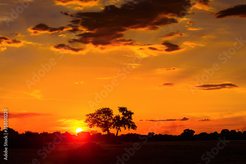 It s Beautiful sunset over the Okavango Delta  Okavango Grassland   One of the Seven Natural Wonders of Africa  Botswana