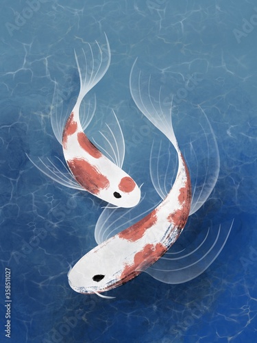 Photography koi fish in the water illustration art