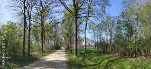 Gravel road around Oosterwijk during spring