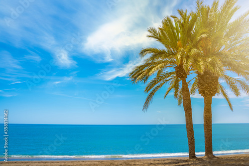 Fototapeta Naklejka Na Ścianę i Meble -  Paradise beach concept. Sunny summer day, seascape with palm trees. Vacation and relax