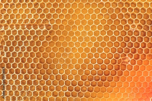 Natural honeycomb with honey