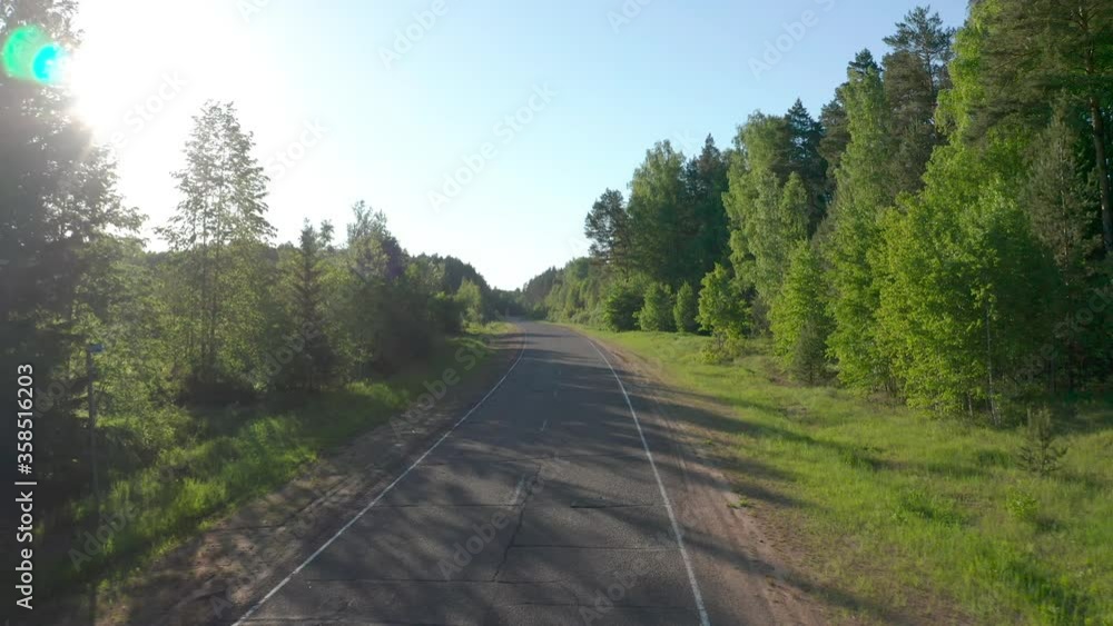 Camera moves over the asphalt road in the forest Camera moves over the asphalt road in the forest