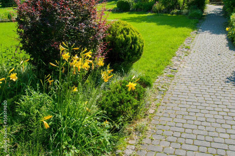 Multicolored flower beds in a landscape park Multicolored flower beds in a landscape park