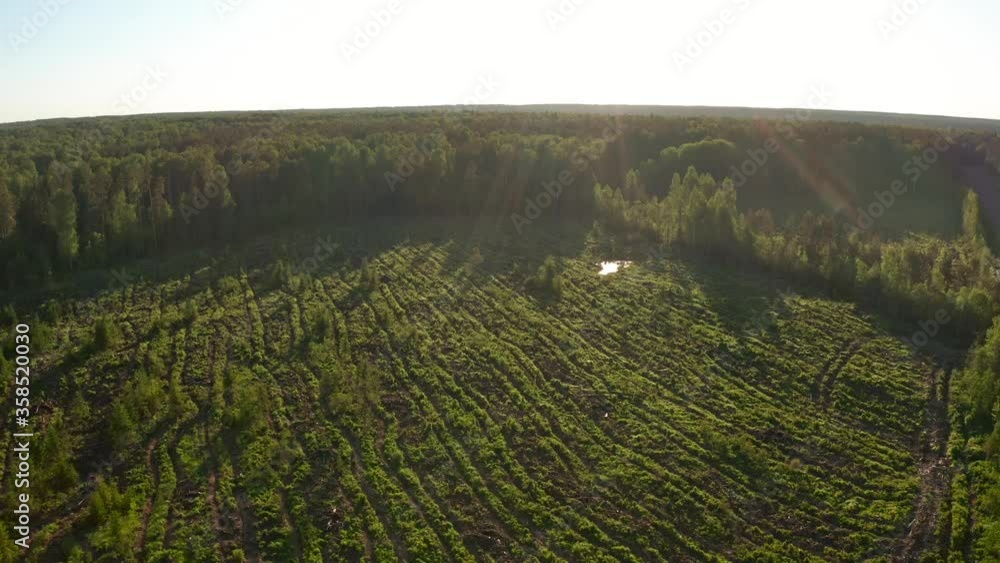 Deforestation. Aerial view of the deforestation area during sunset Deforestation. Aerial view of the deforestation area during sunset