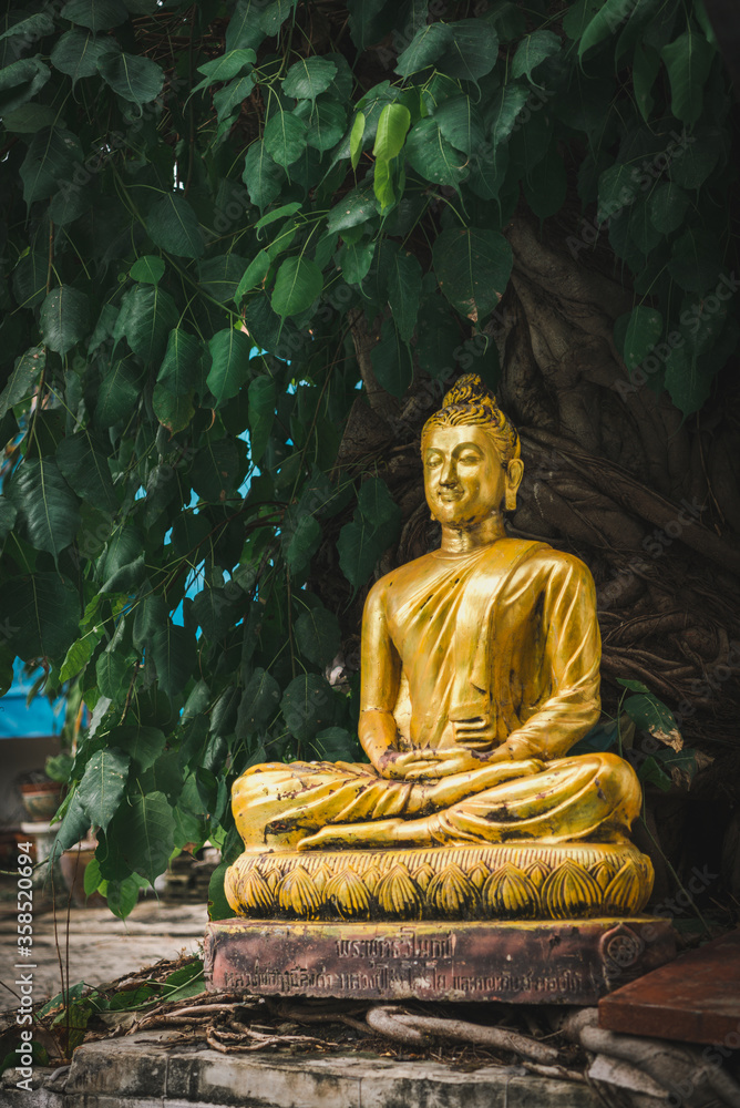 golden buddha statue in thailand