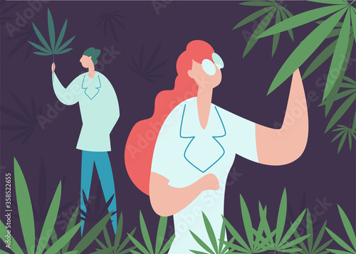 Concept grow cannabis, cultivation, production cbd . Professional worker in lab coat or pharmacist research, analyzing and checking plant hemp.