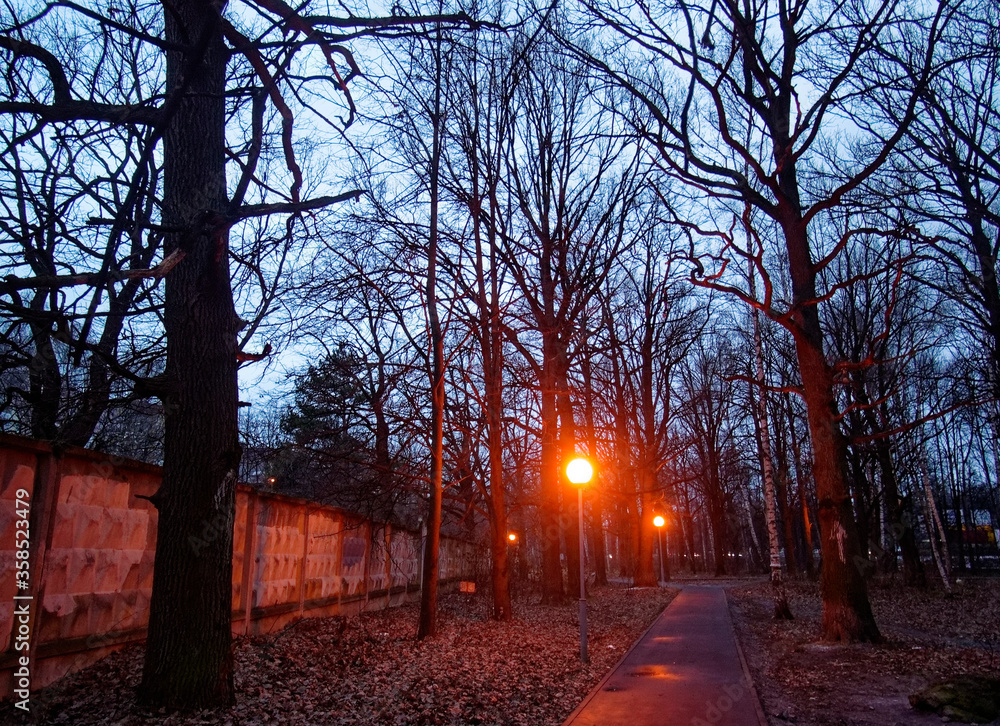 street lights among trees in winter, Moscow